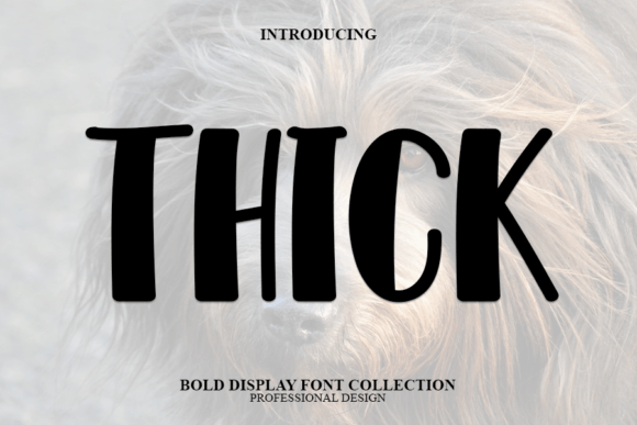 Thick: A Bold Display Font for Every Creative Project